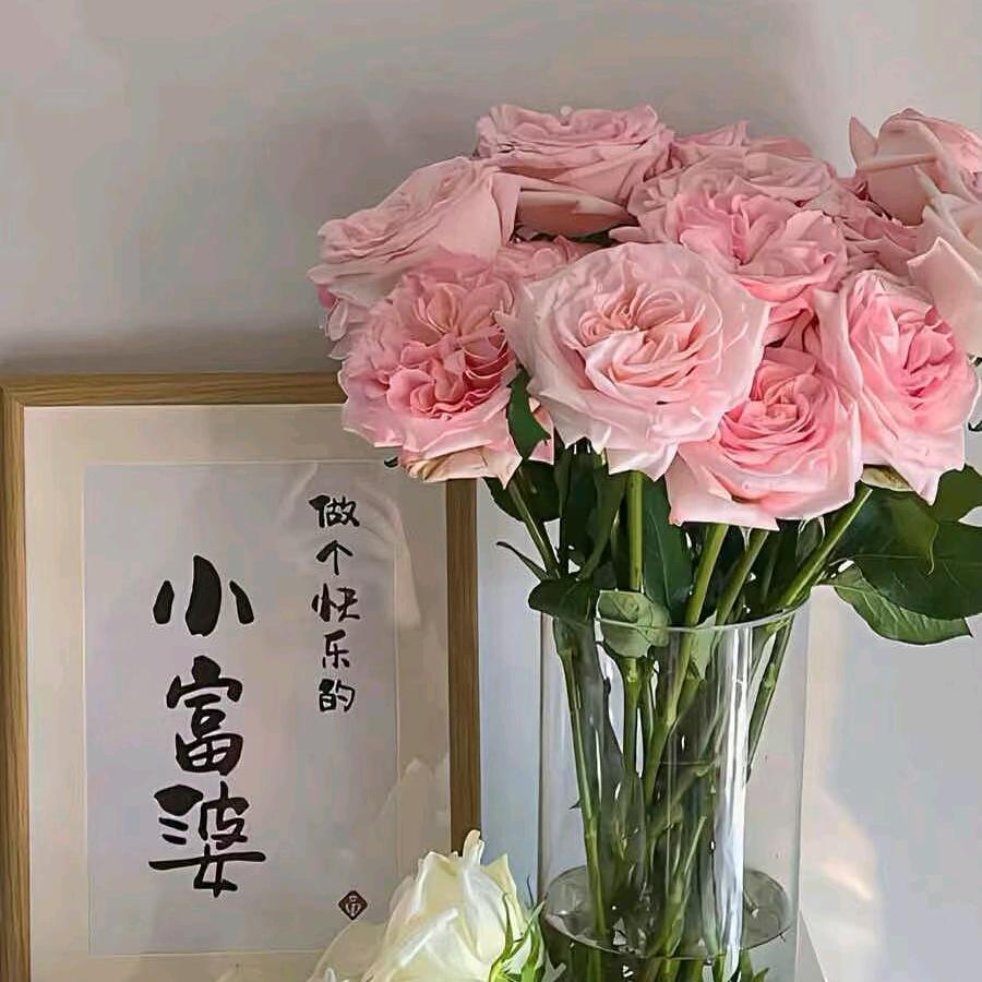 七妹（阳光启程）