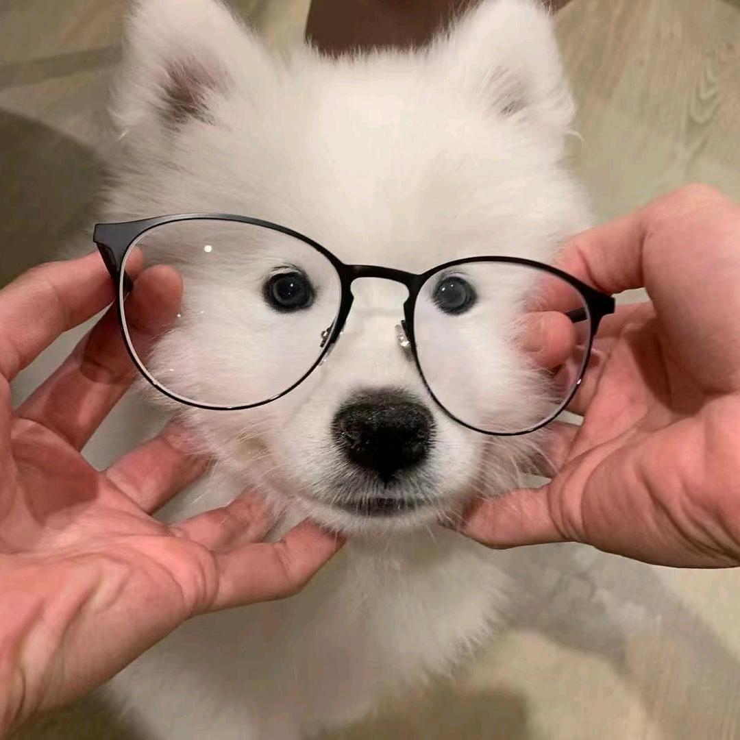 ｸﾞｯ!(๑•̀ㅂ•́)و