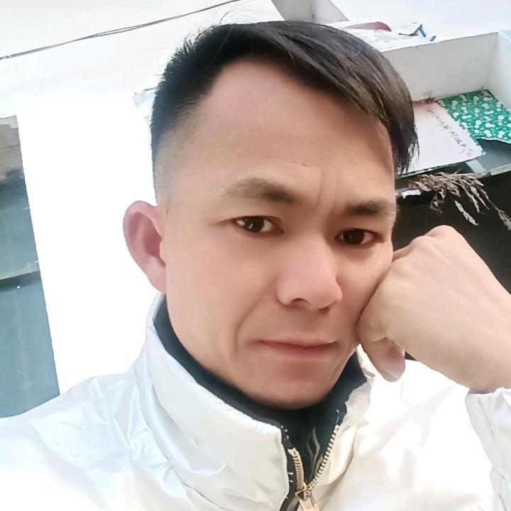 小杨哥《单身》