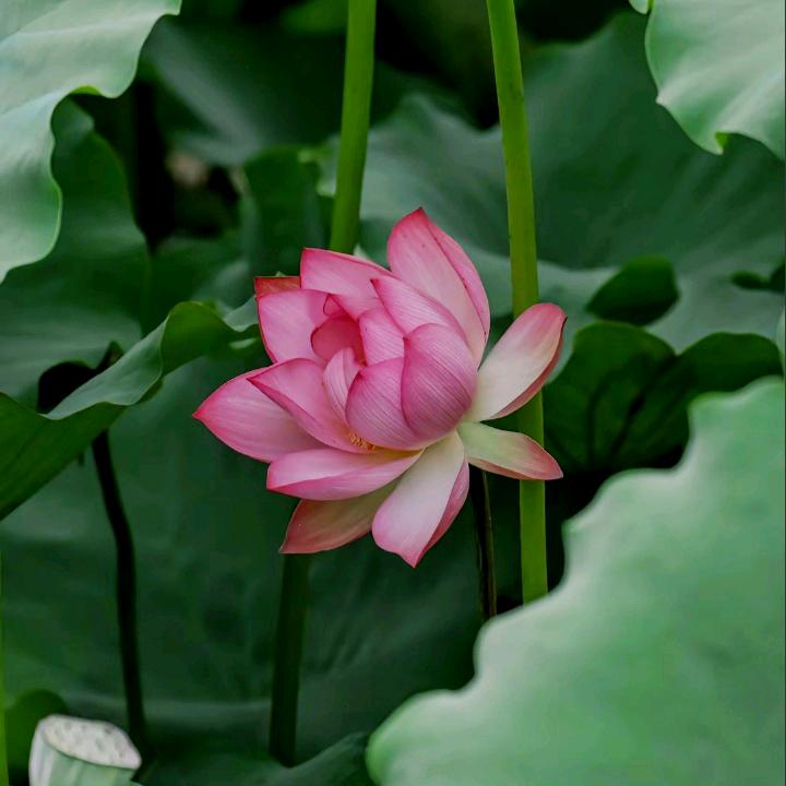 静享时光