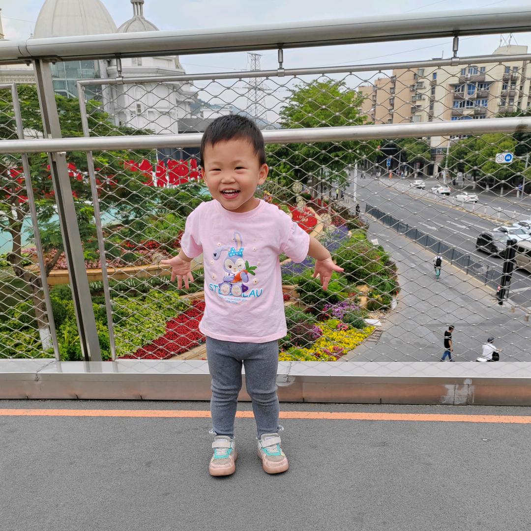 鲍两只吖