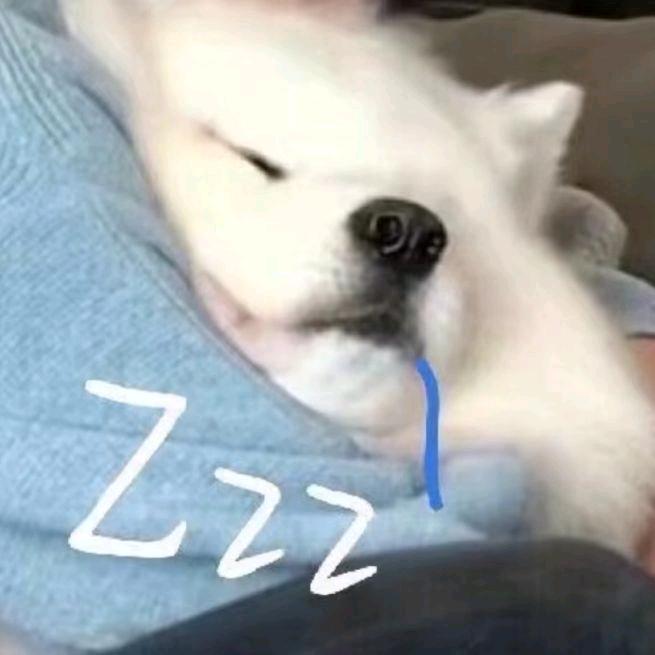 我是蘑菇Eternity🍄