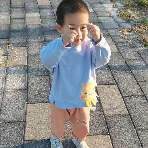 楷楷呀