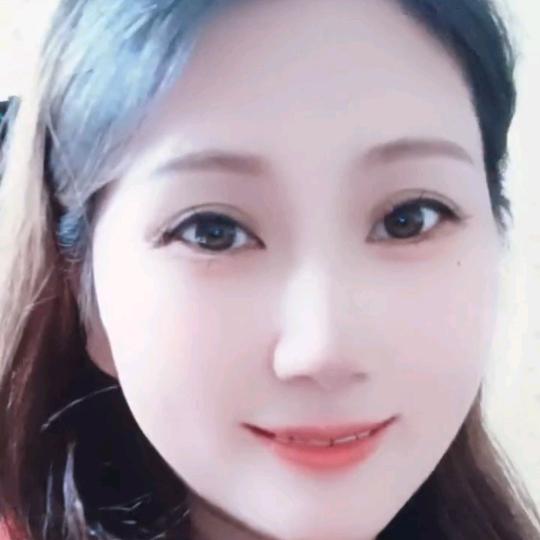 琴宝