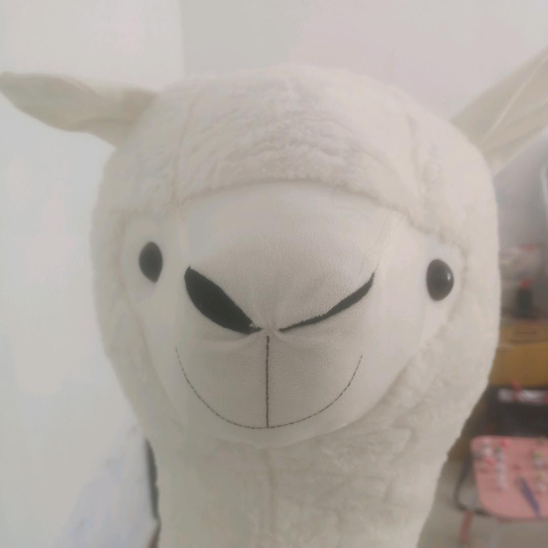 爱你的小妹呀