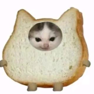 选项E