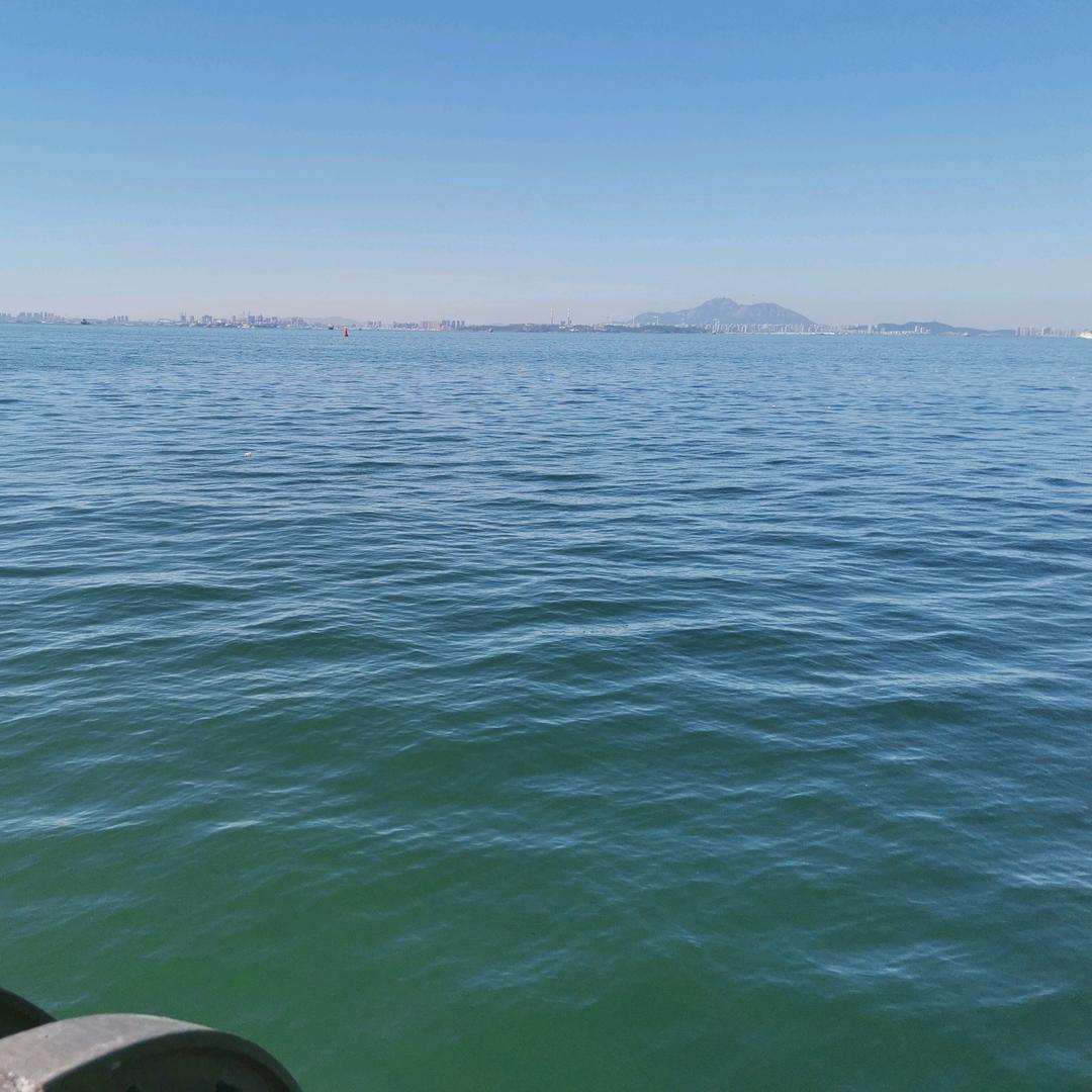 少儿运动成长于教练