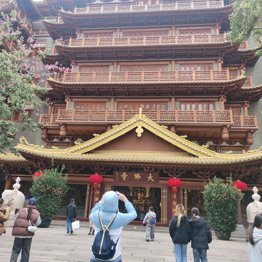 退抖
