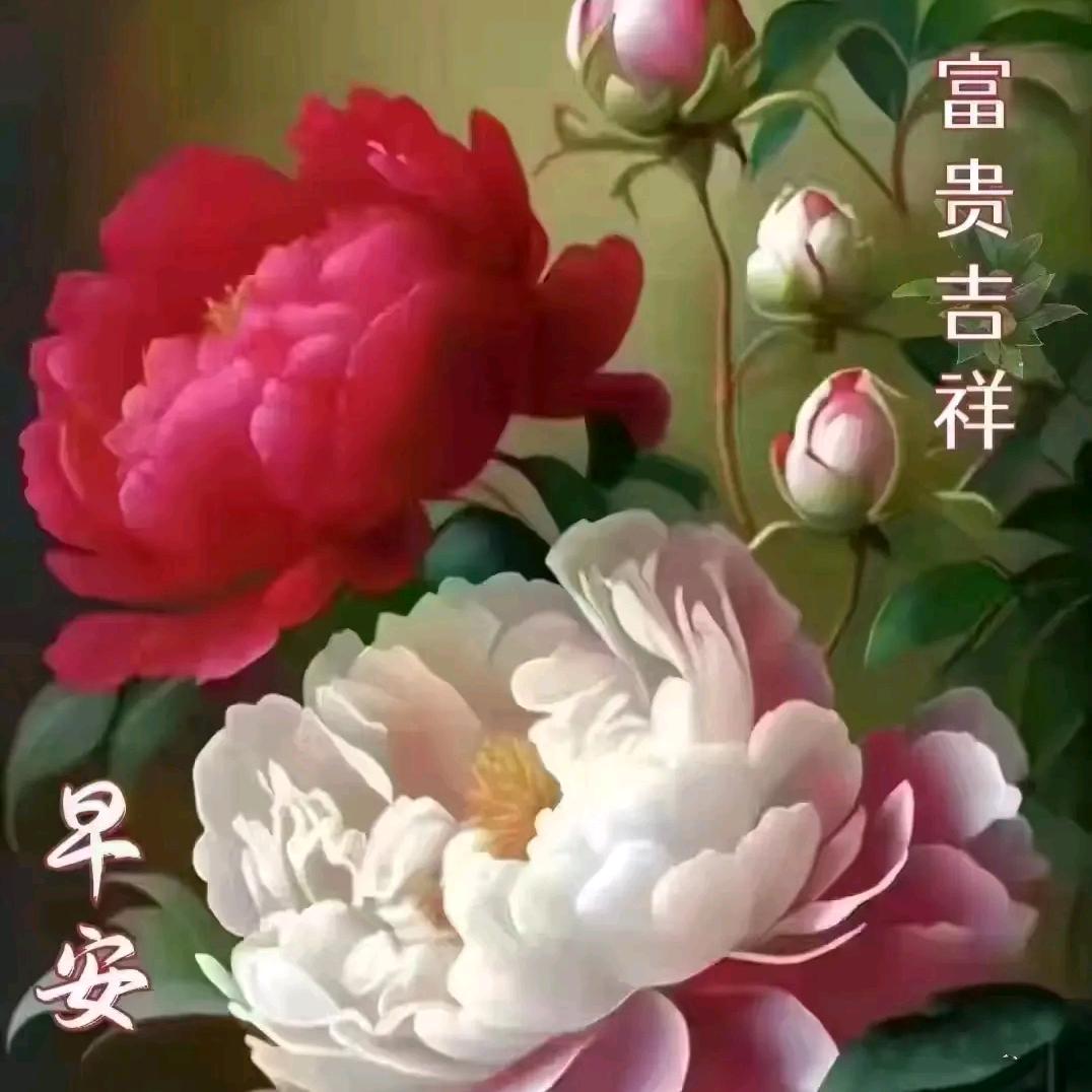 妍