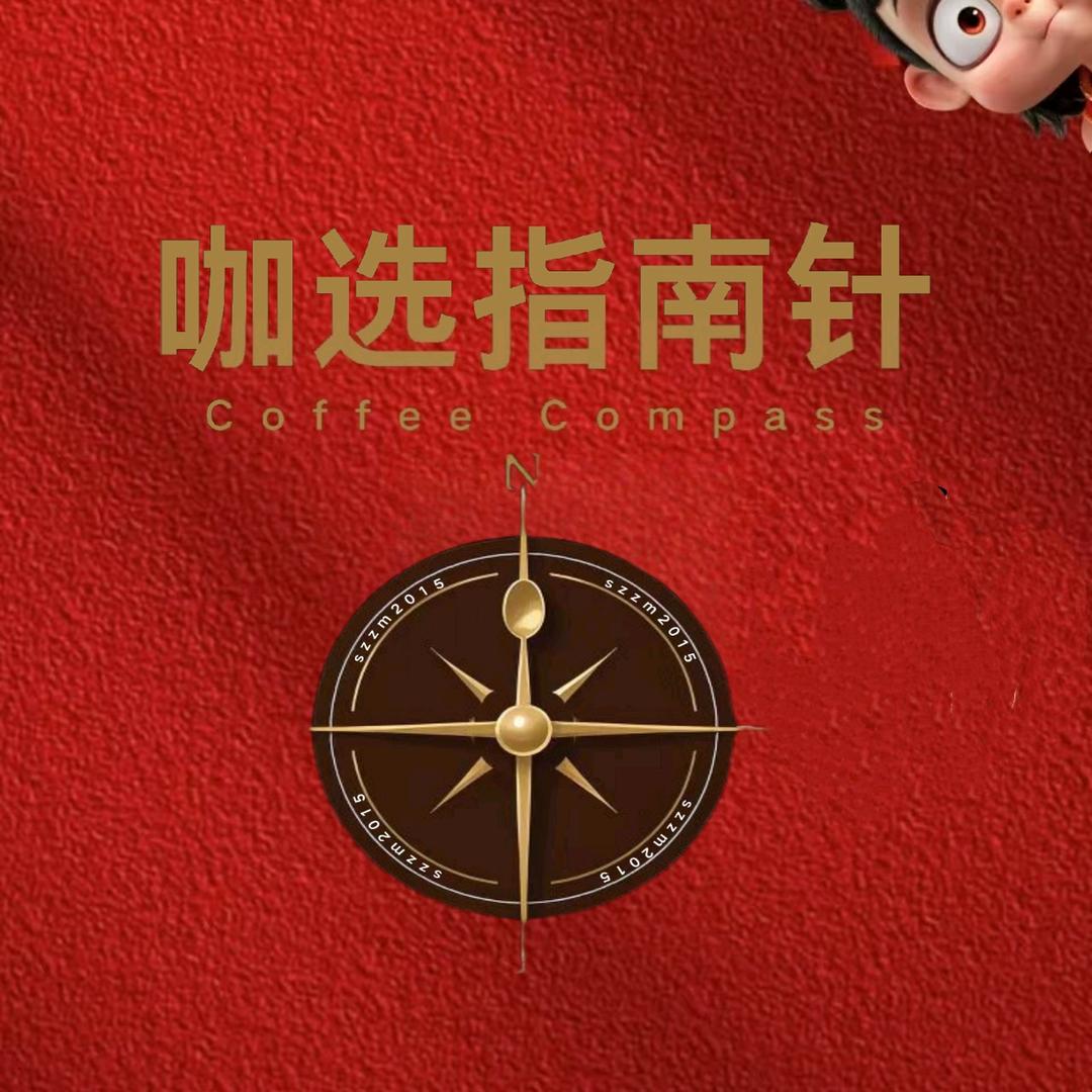 咖选指南针