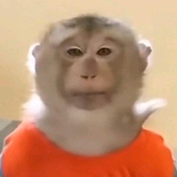 e只马喽jason🐵