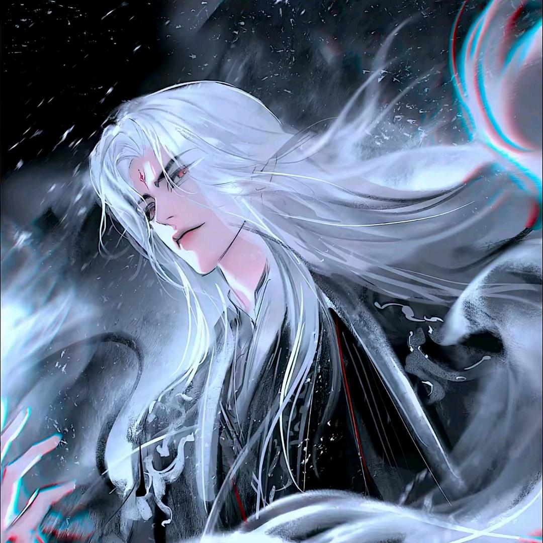 ☪︎一只小白