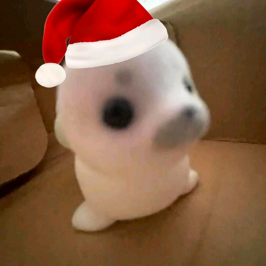 装可爱被骂人机.