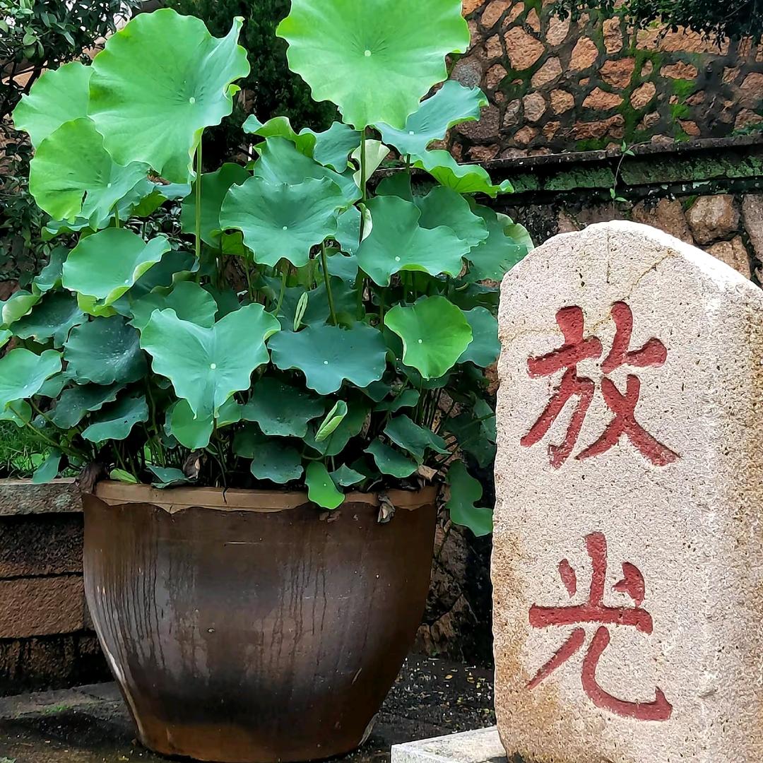當   下