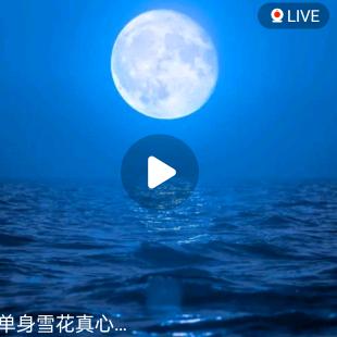 四川自贡单身雪花
