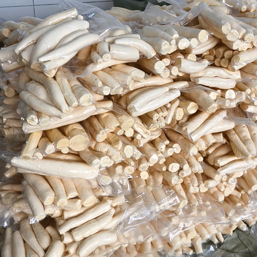 广西特产新鲜正宗黄心蛋黄木薯