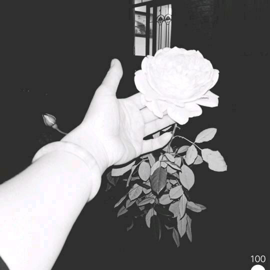 忧宁儿......㞮孞