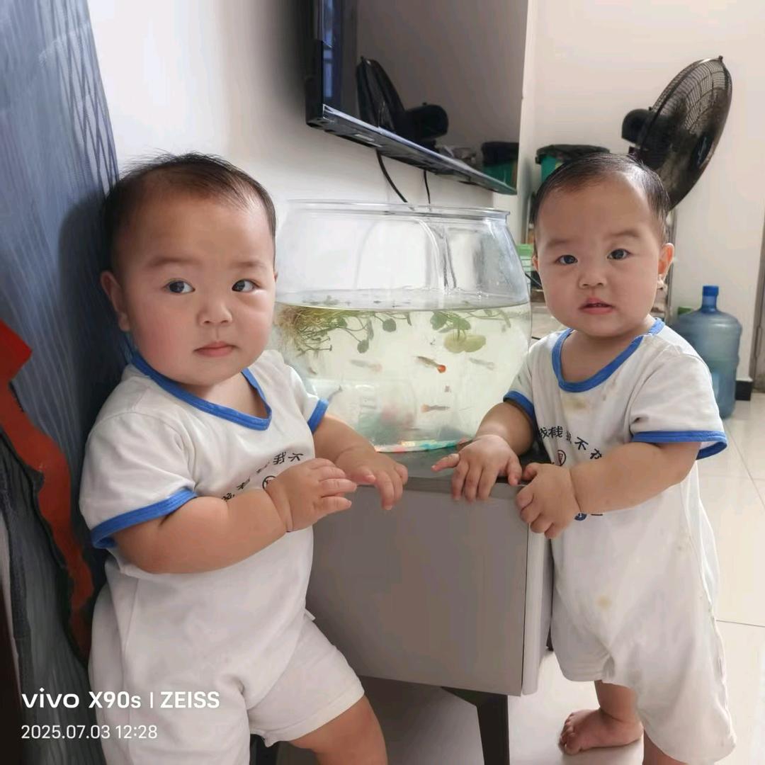 龙猫