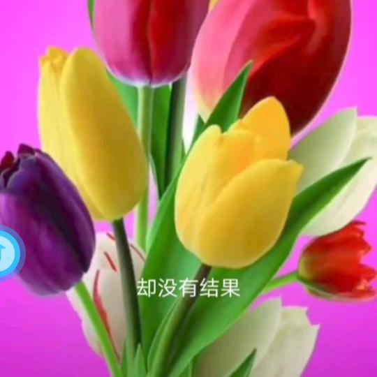 您俞诚风单身一人