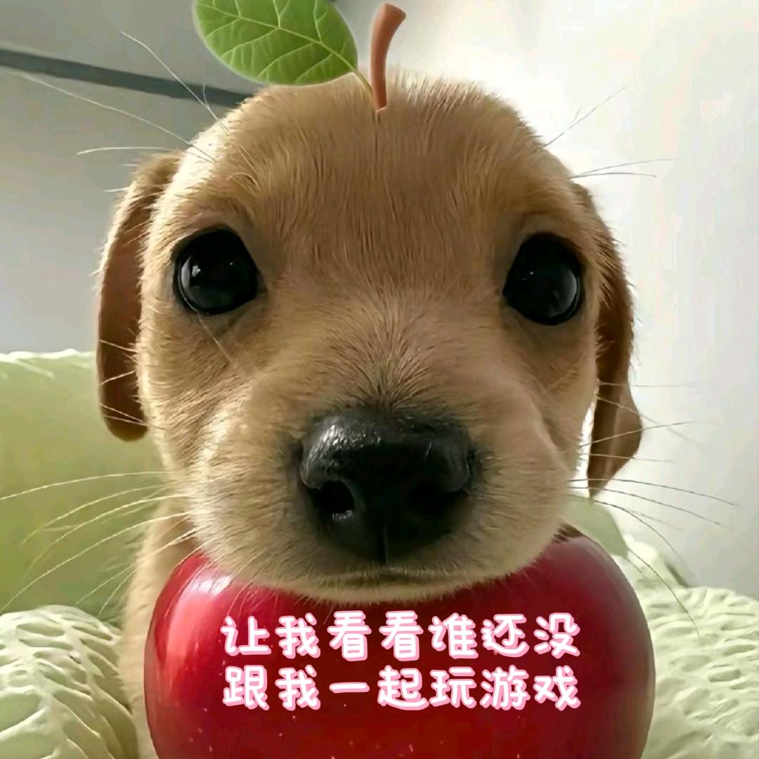 我是大主公 昊天