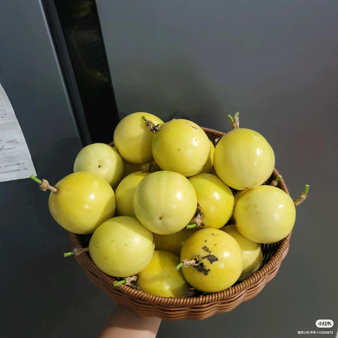桂林源茂农业