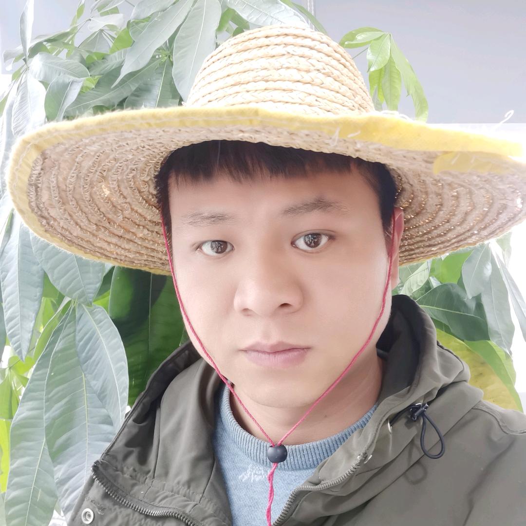 大明聊果树