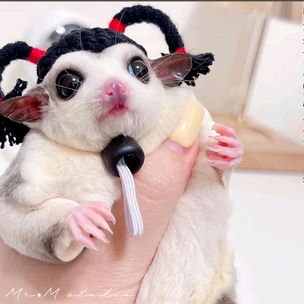 李自律