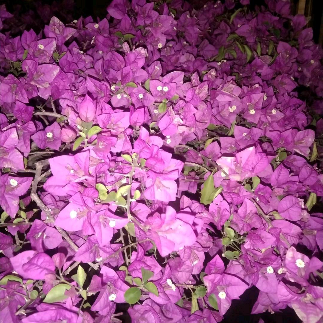 开心心，快快乐乐的