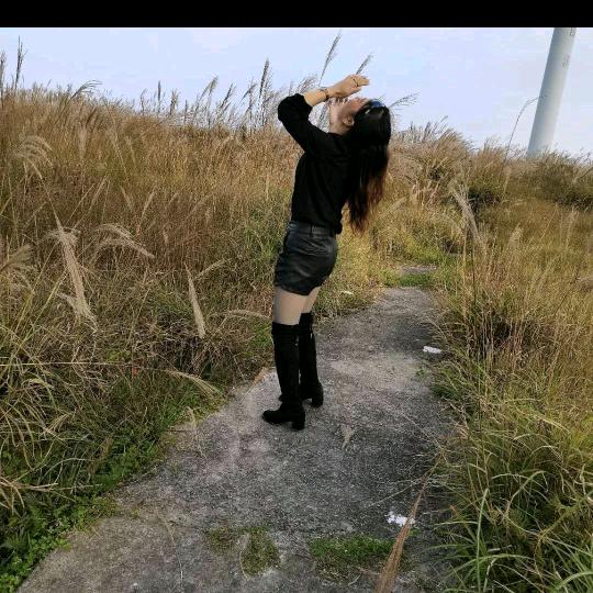 刘海燕