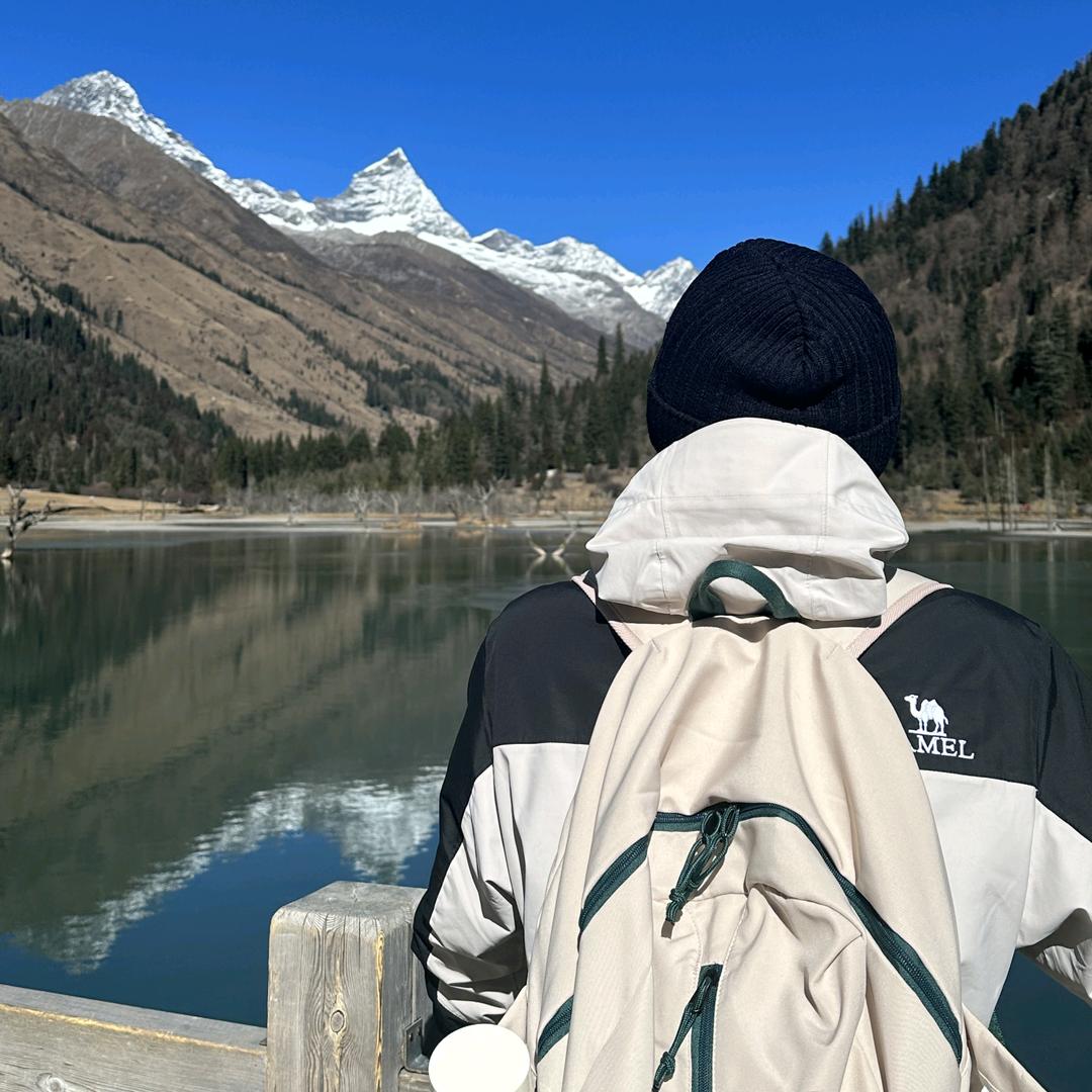 省钱小马达（直播）