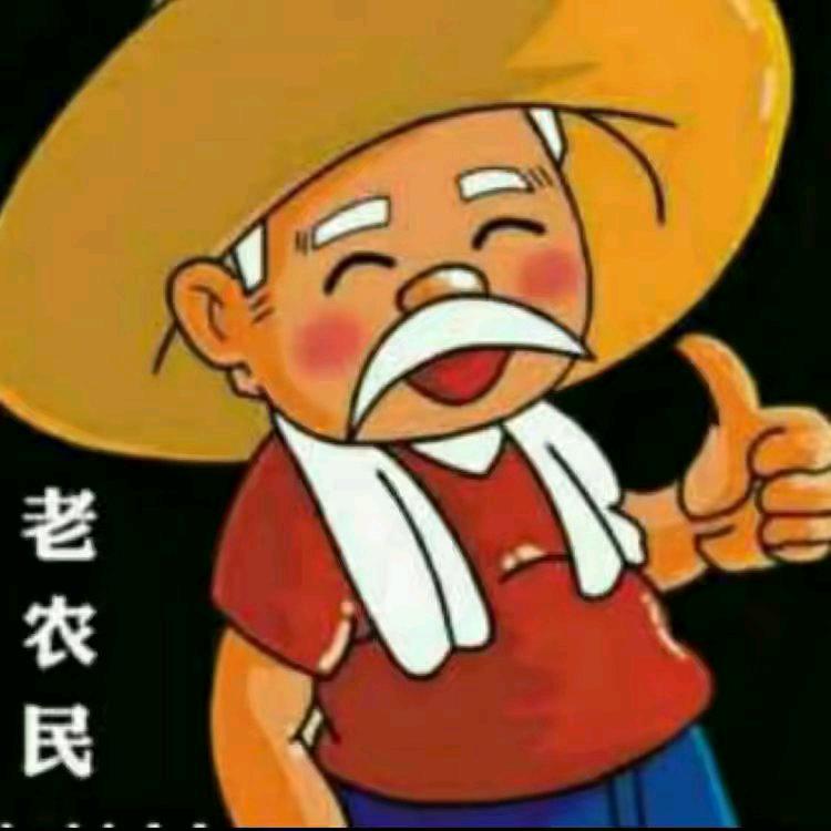 吋光情感