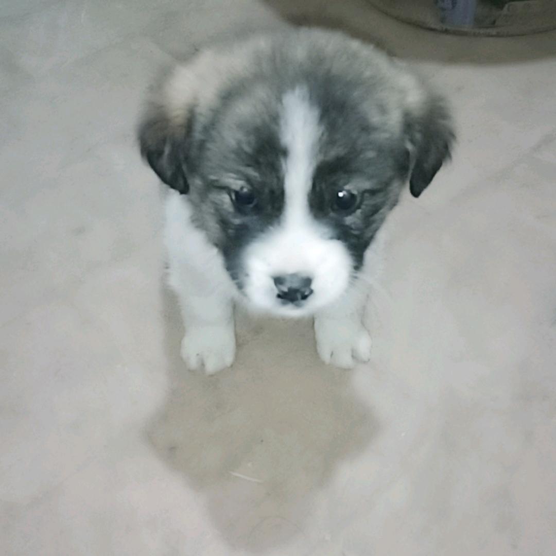 内心美胜过外表