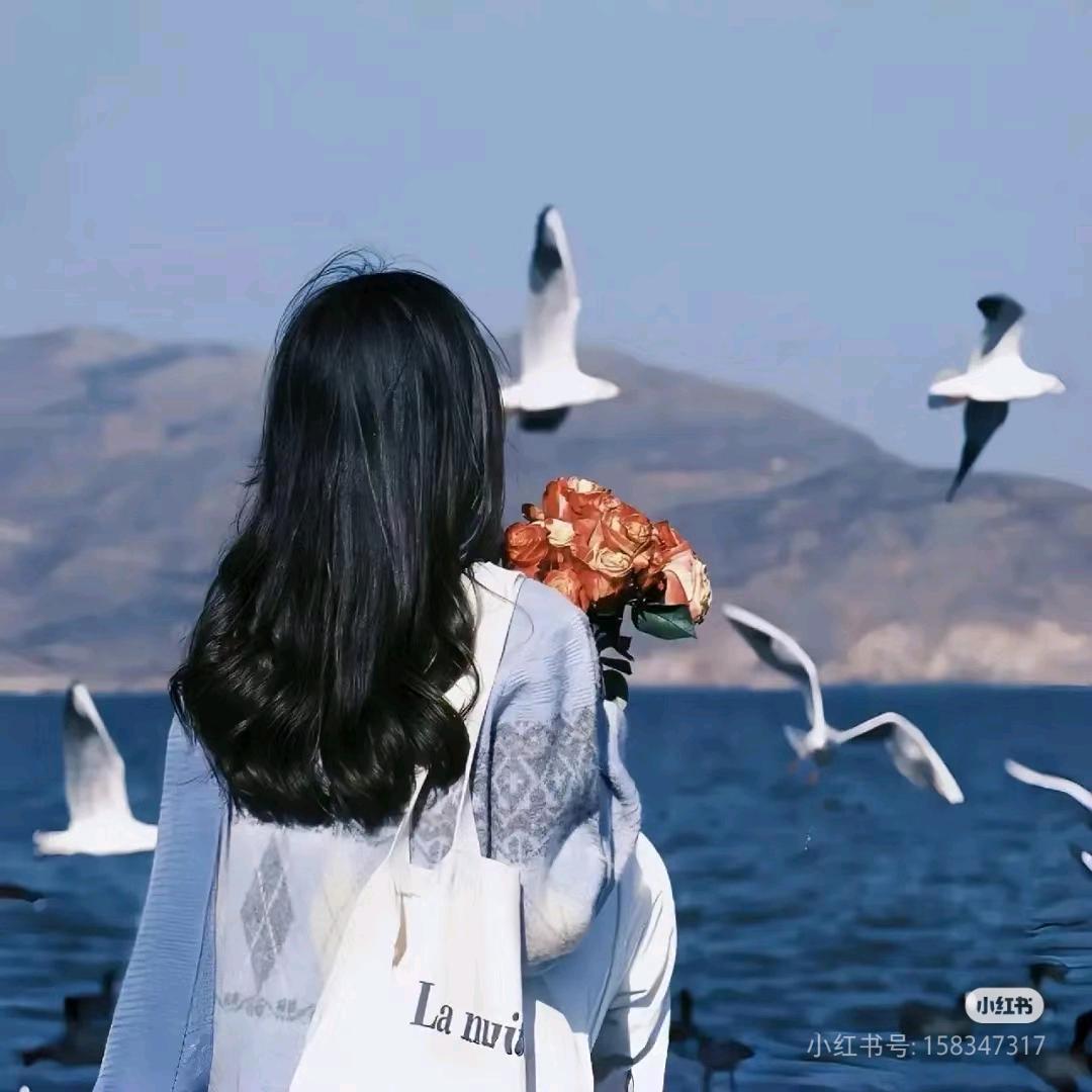 轩🌼