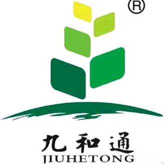 九和通种业第四类好玉米