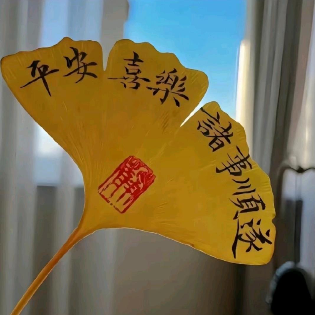 李氏花圈寿衣店{太极商城}