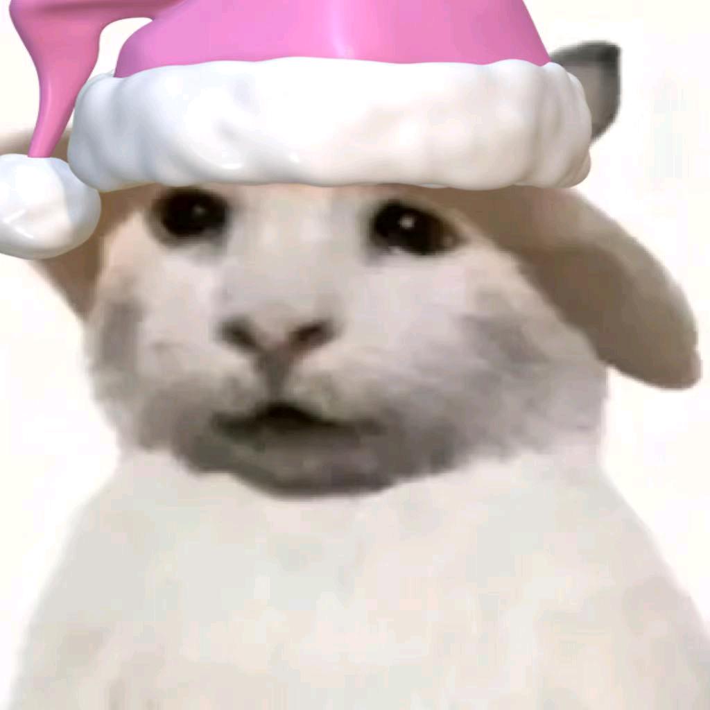 xD