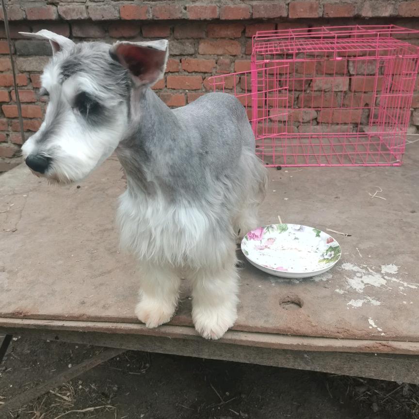 我是知烁我在这