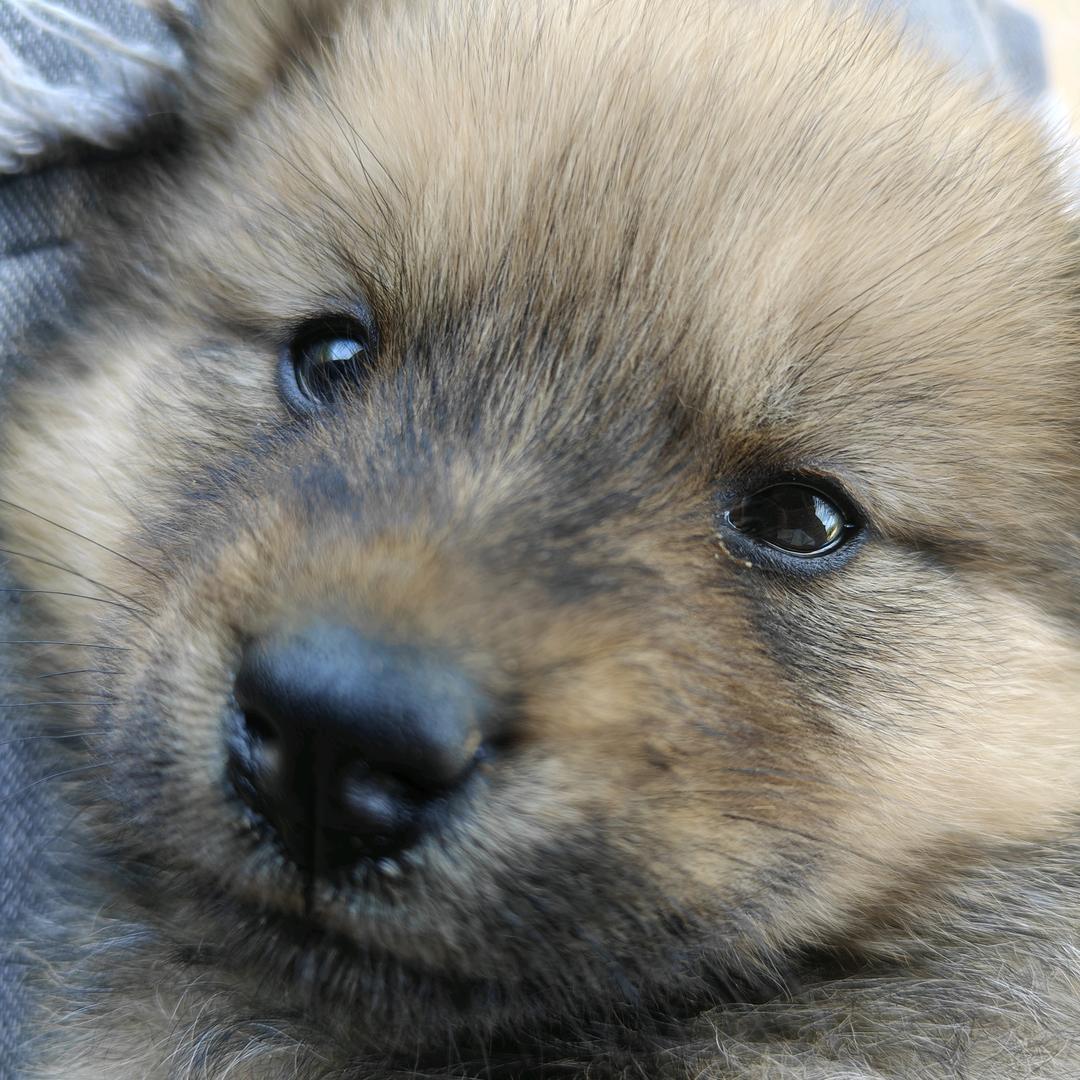 睡着的时候不困