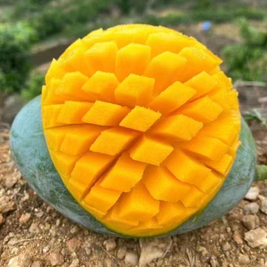 果团十鲜果缘超级批发行专用号