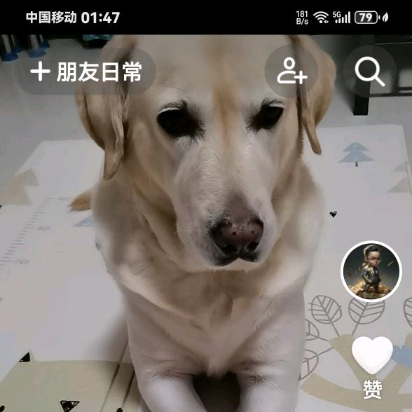 不是每一瓶雪花都会陪你勇闯天涯