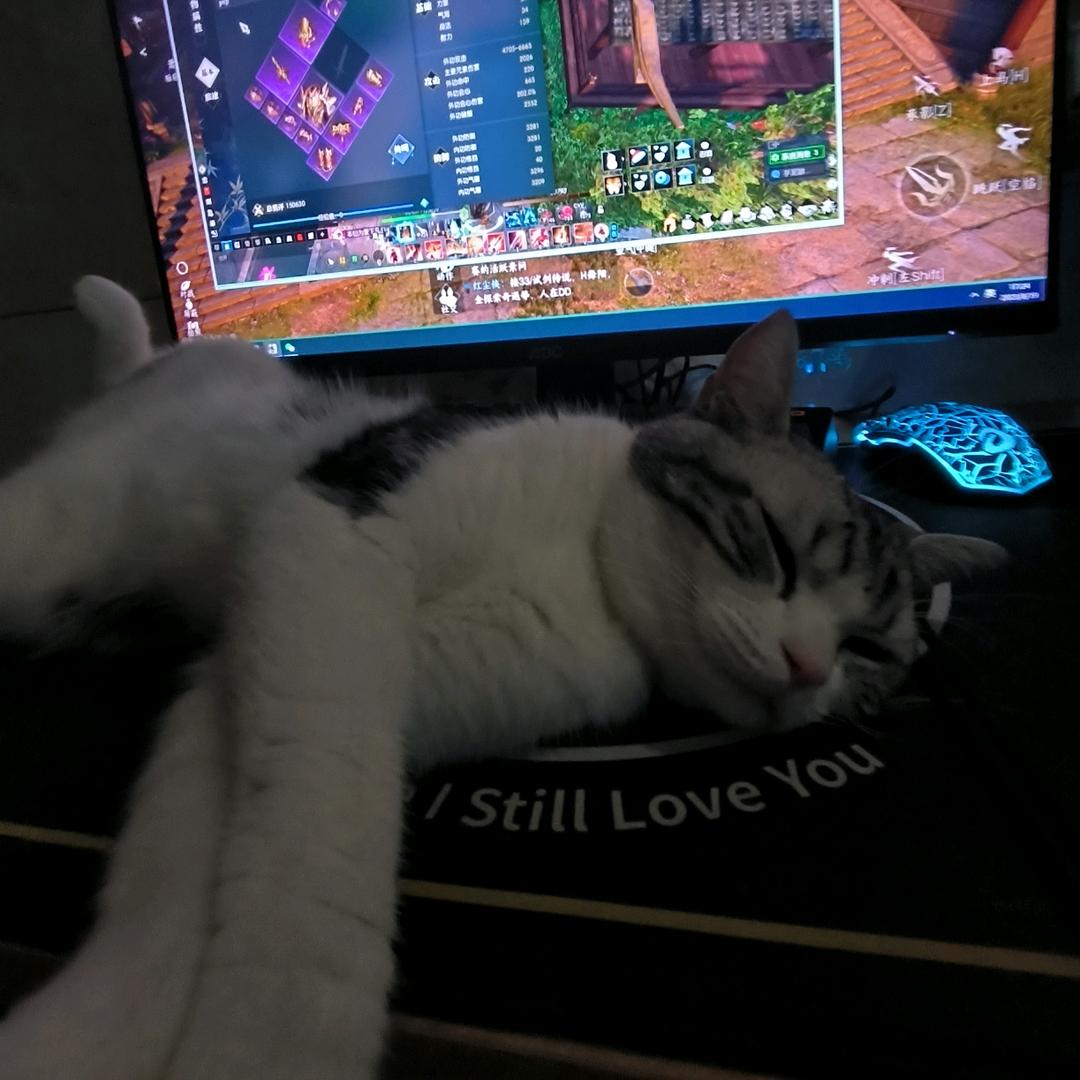 梓鸣（逆水寒怀旧中～)