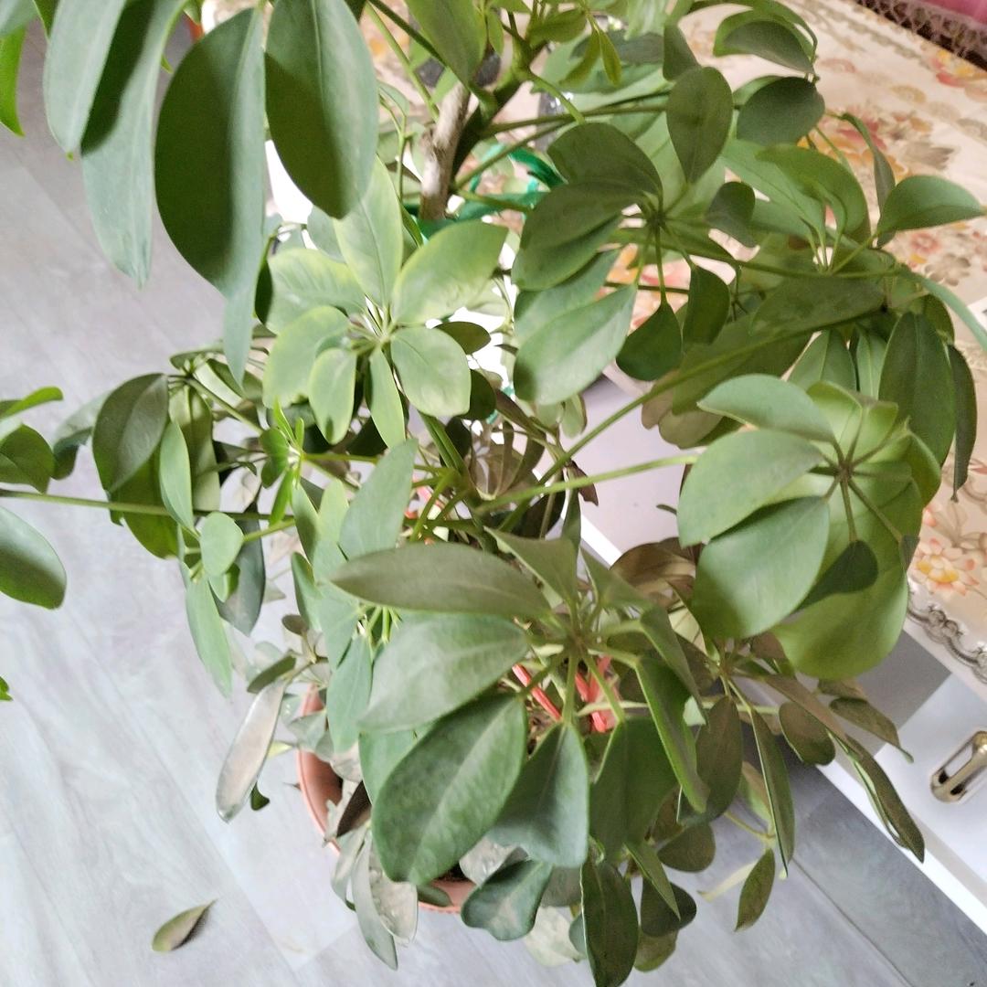 人生没有回头路