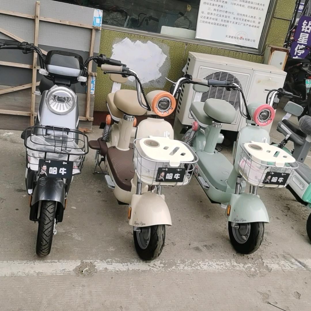 鹤壁哈牛电动车工厂直销