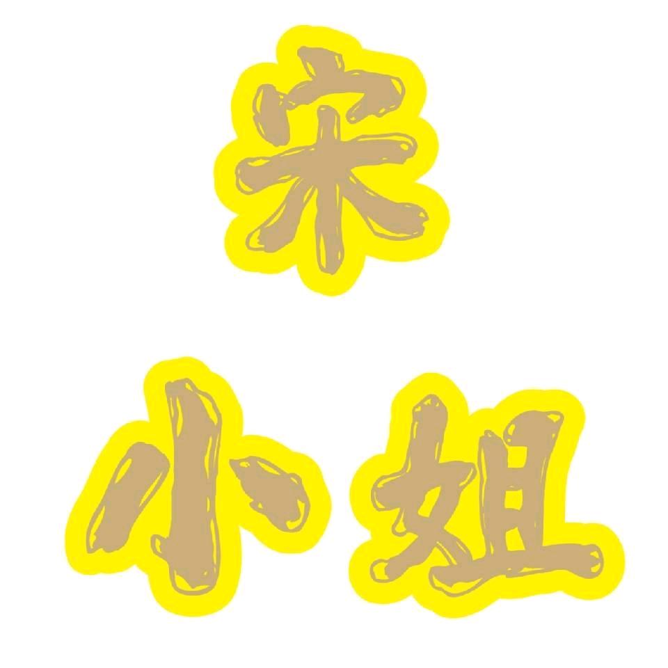鼎城区桥南市场宋女士服装店