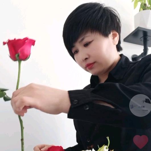 易县平姐