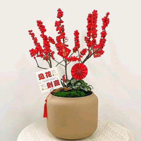 沭阳县婷优花卉