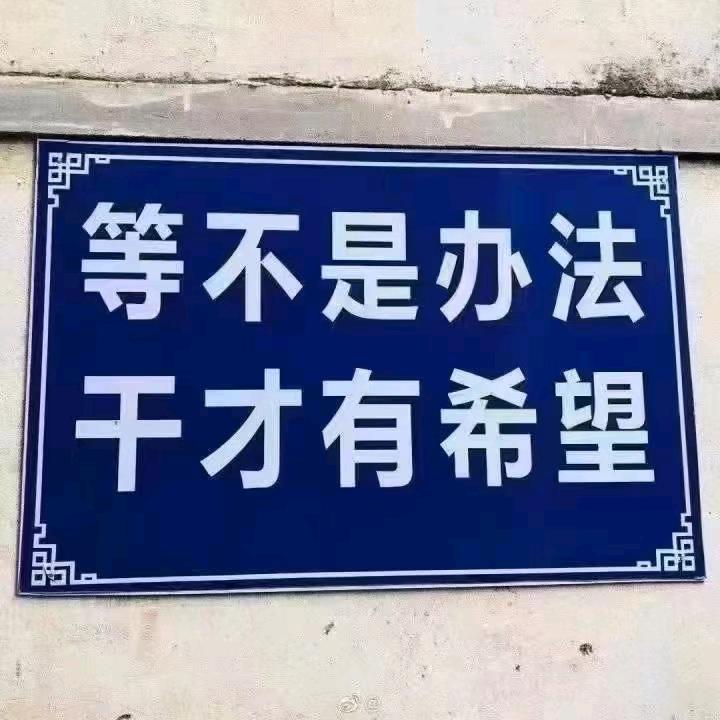 闯海的羊