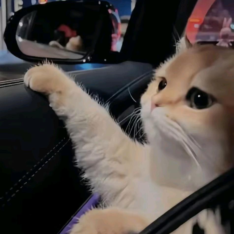 ℳঞ 王 ໌້ᮨ《七》