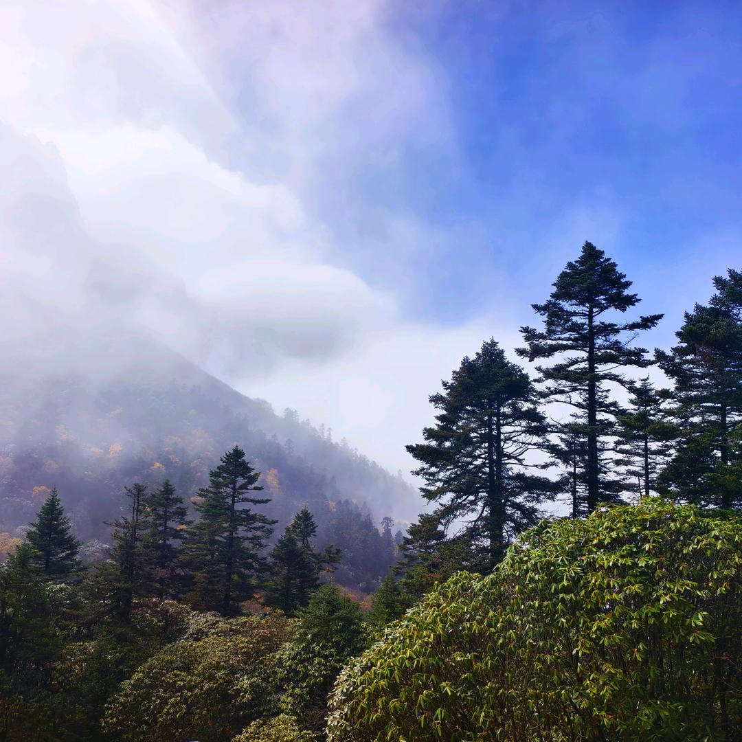 龙江行