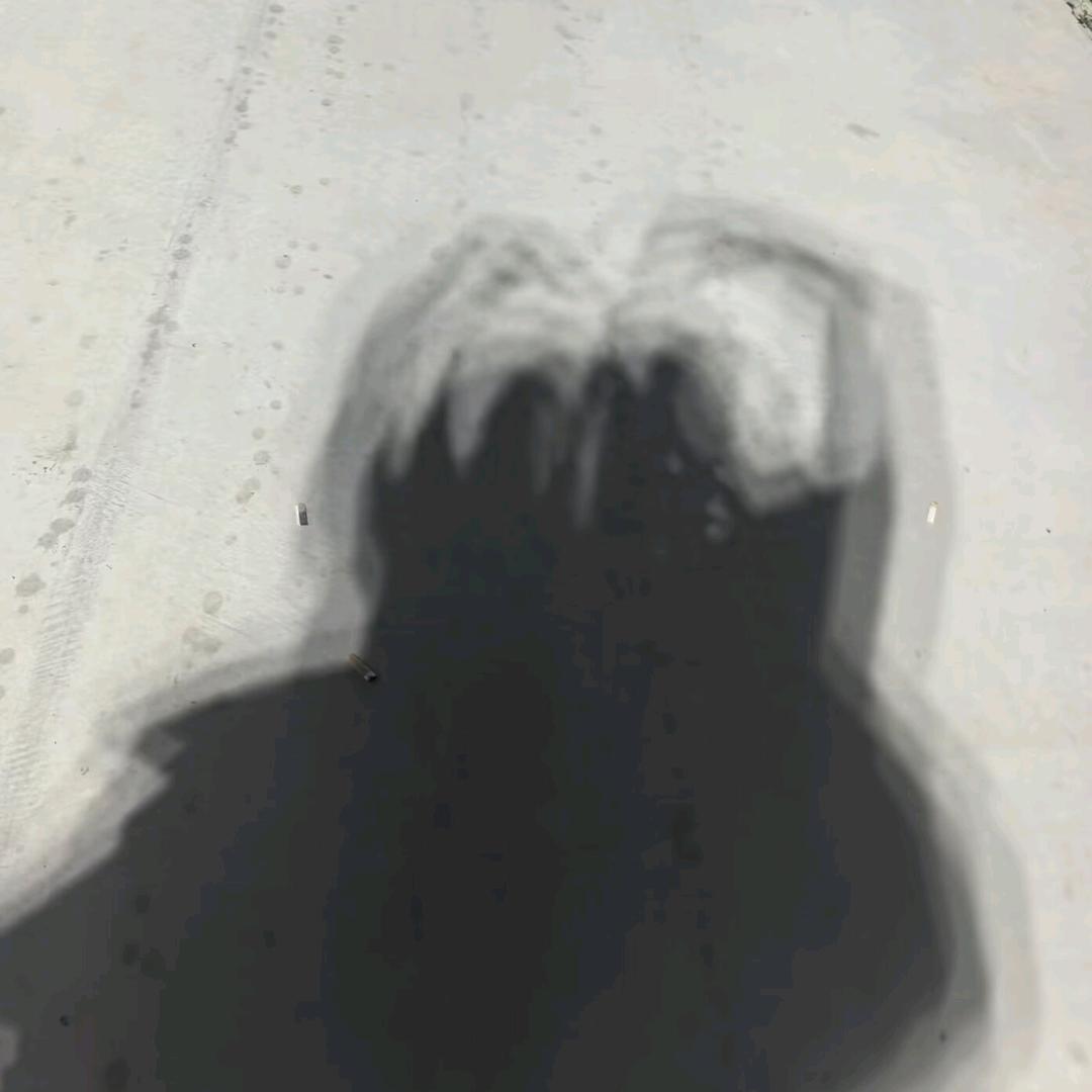 YL21212030